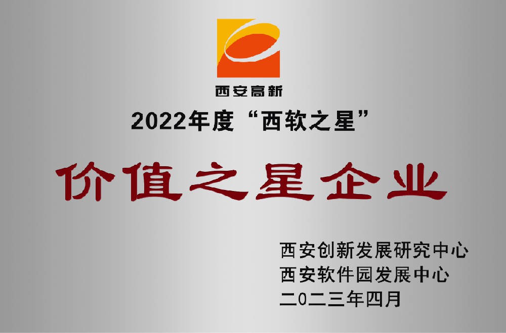 “西软之星”价值之星企业
