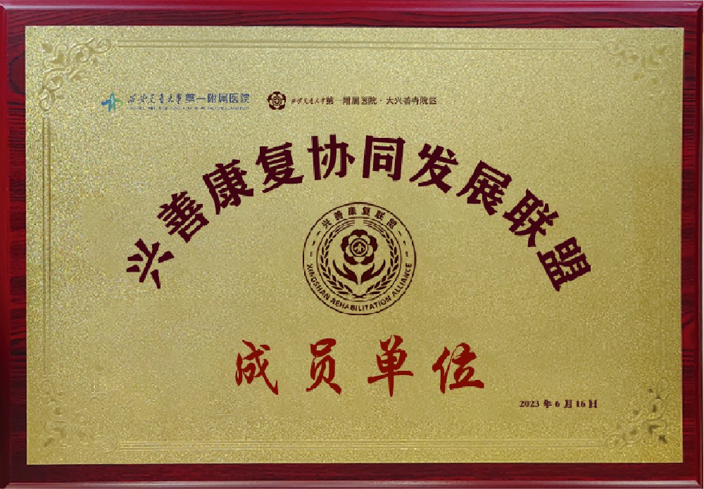 陕西兴善康复协同发展联盟成员单位