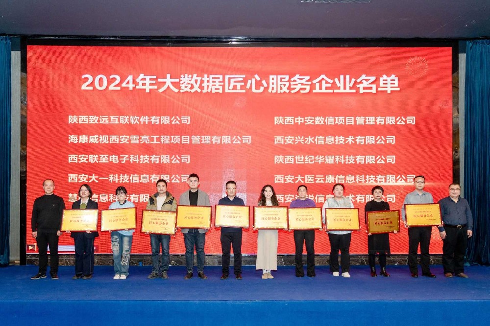喜报！大医云康荣获陕西省“2024年大数据匠心服务企业”