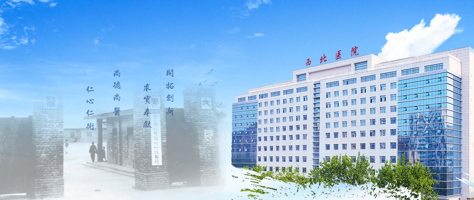 127d1bf6ea80e060ed5b2b9b7d64955.png